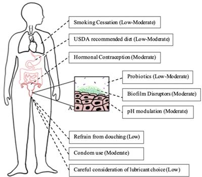 Bacterial vaginosis: a review of approaches to treatment and prevention